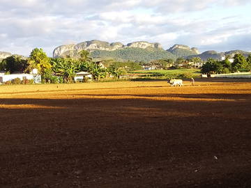 Chambre Chez L'habitant Viñales 266220-24