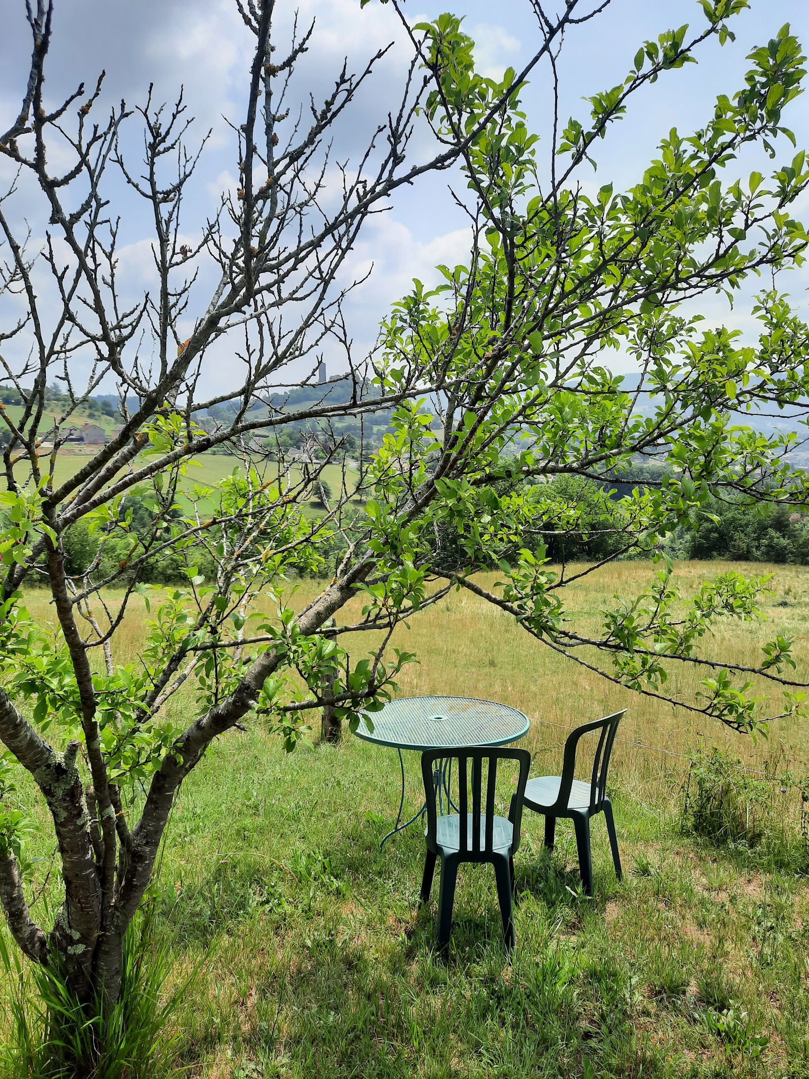 Homestay Saint-Laurent-les-Tours 235887