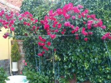 Logement Entier Vegas Del Condado 127640-6