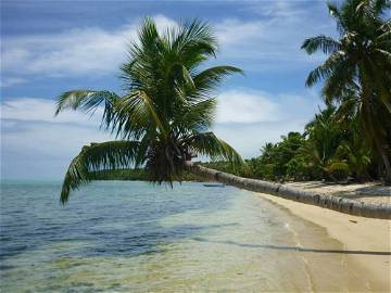 Chambre À Louer Province De Tamatave 152076-1