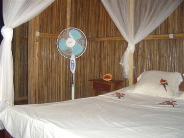 Homestay Province De Tamatave 152076-10