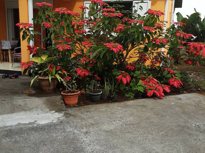 Gastfamilie Sainte-Clotilde 211210-2