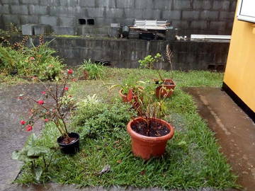 Chambre Chez L'habitant Sainte-Clotilde 211210-10