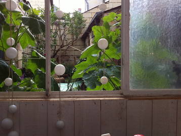 Homestay Fontevraud l'Abbaye 24438-4