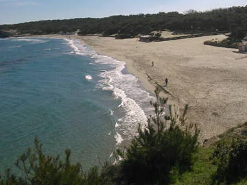 Logement Entier Torre Dell'orso 100248-9