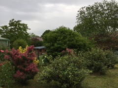 Logement Entier Genlis 223789-7