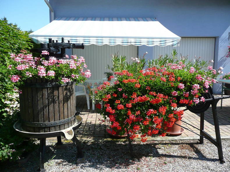 Logement Entier Oberhergheim 68632-3