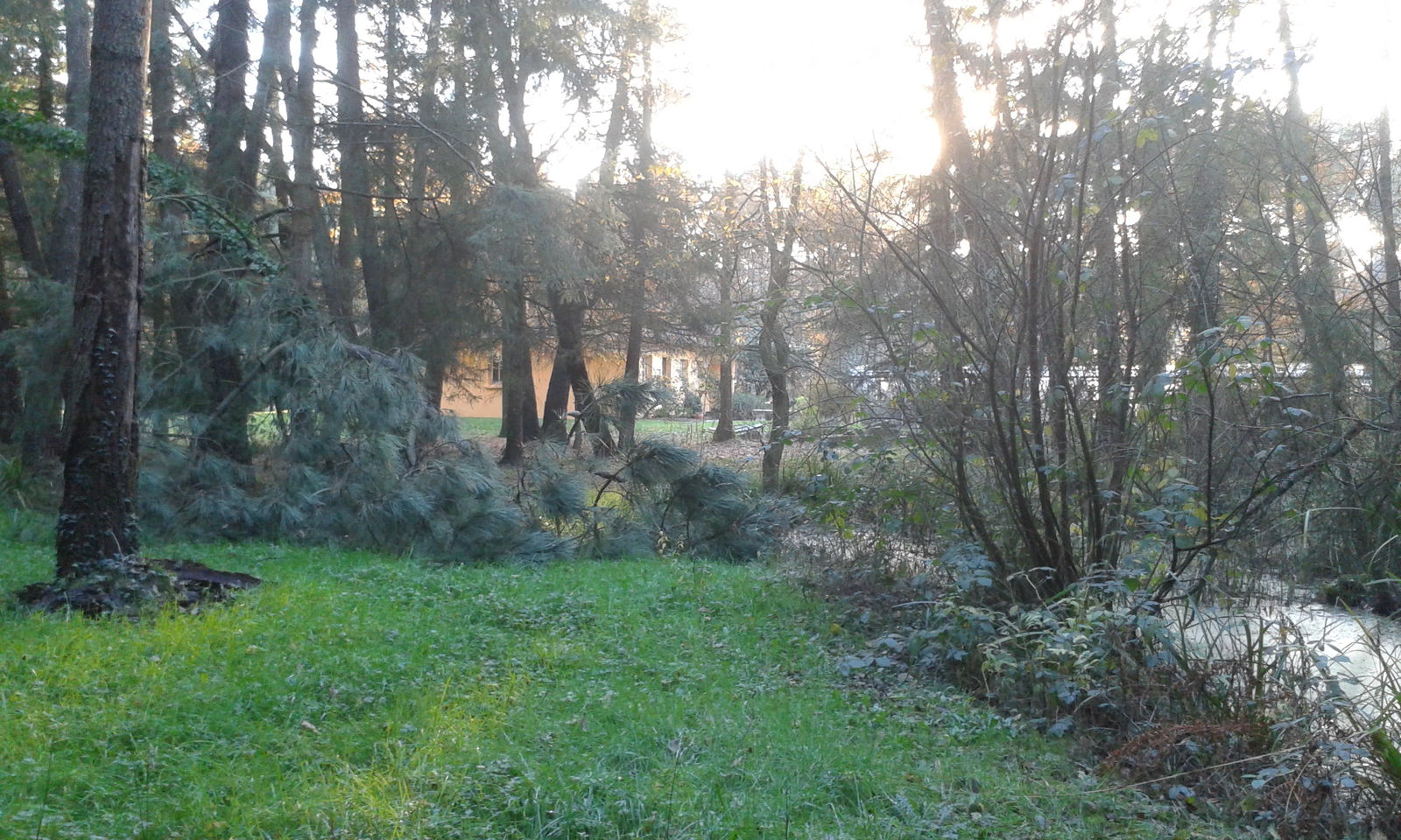 Homestay La Chapelle-sur-Erdre 124033