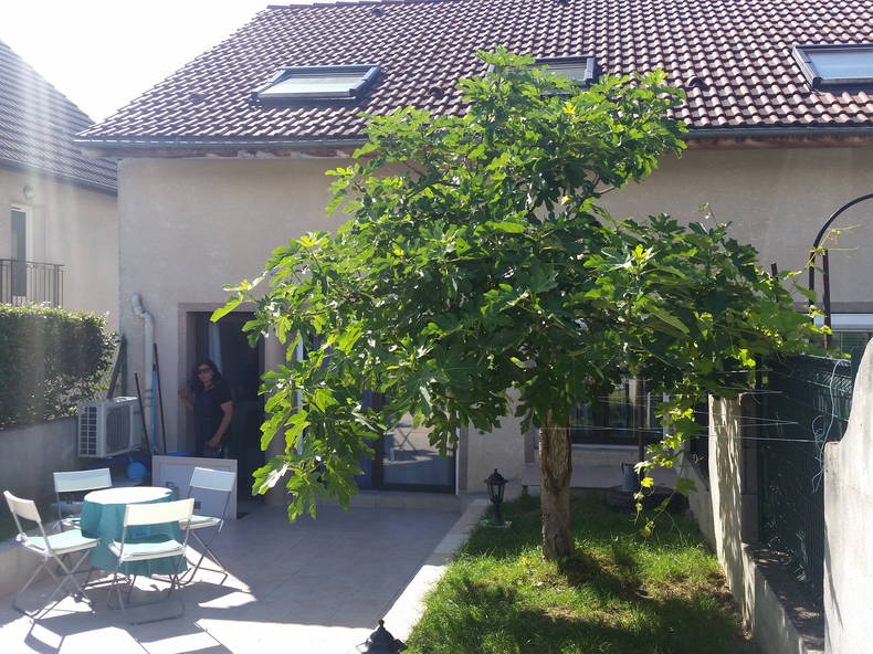 Logement Entier Marsannay-la-Côte 160708-1