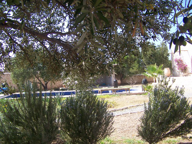 Toda La Casa Mariol 157866-3