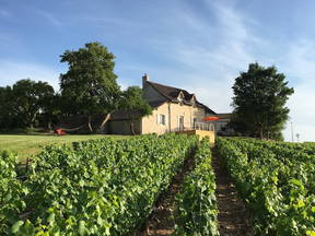 House In The Heart Of The Vineyards In Burgundy