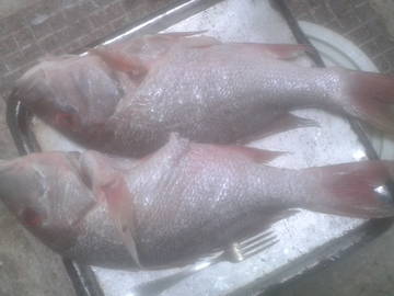 Quedarse En Casa La Habana 180583-10