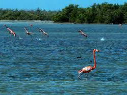 Chambre D'hôte Playa Larga 158013-11
