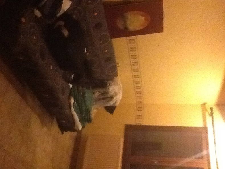 Homestay Monein 110887-4