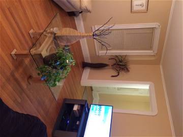 Chambre Chez L'habitant New York 131347-7