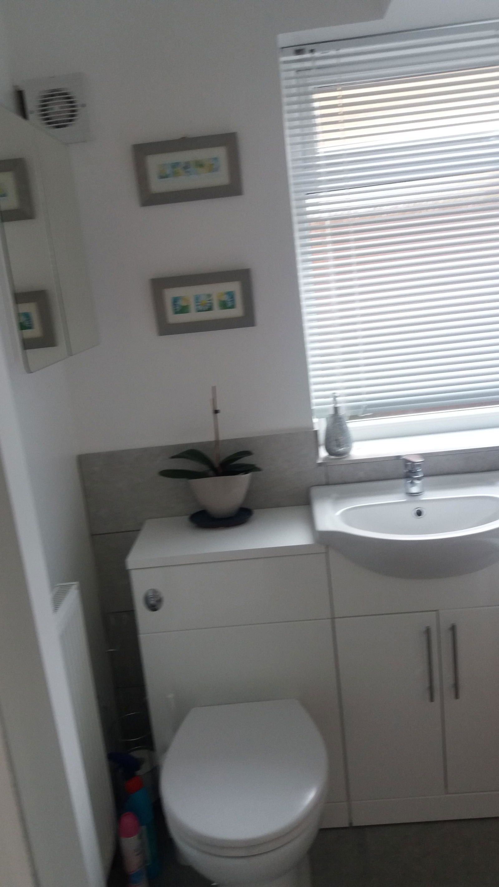 Homestay England 149426