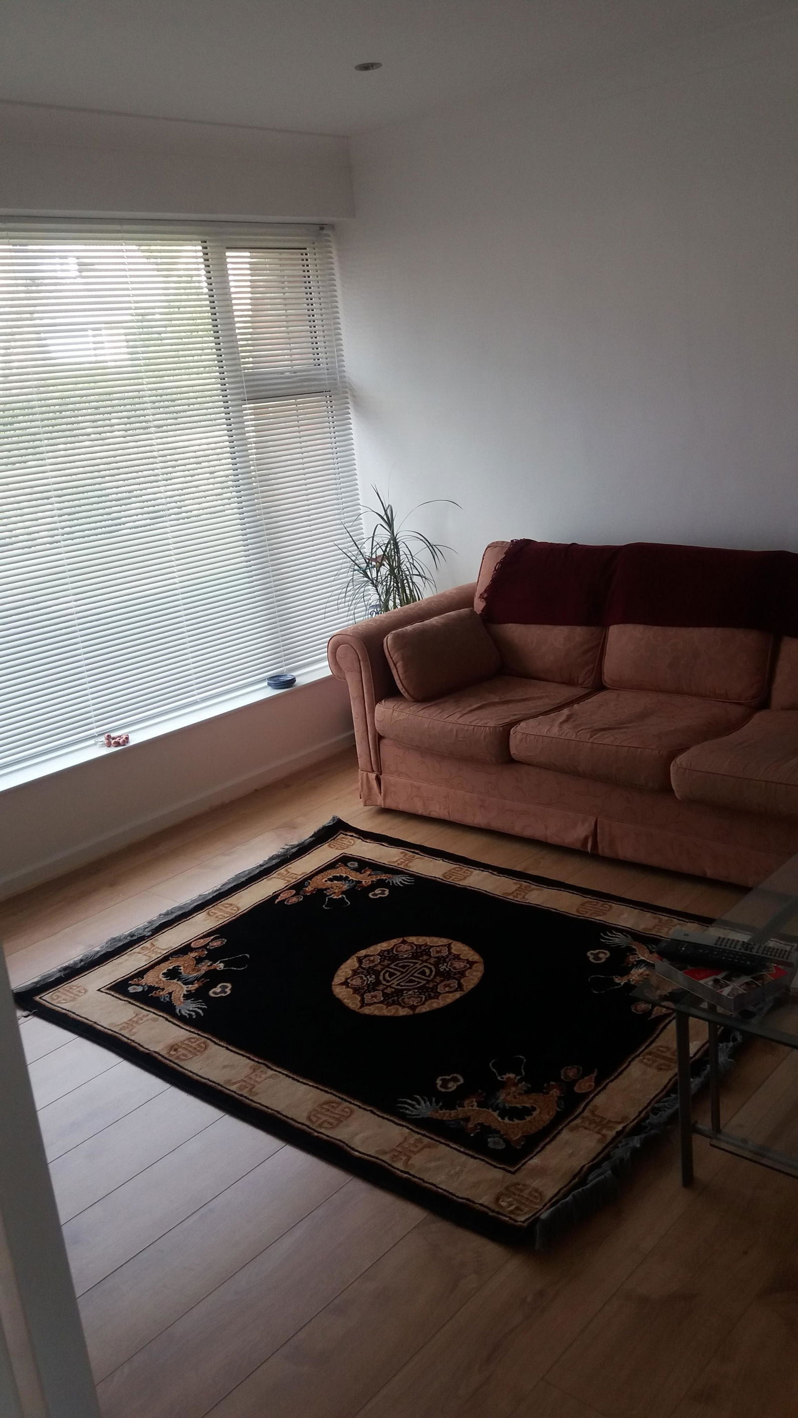 Homestay England 149426