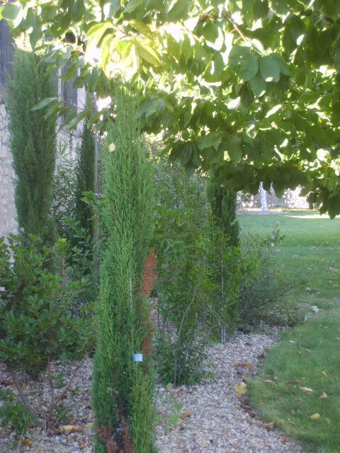 Bed And Breakfast La Celle-Saint-Avant 102815