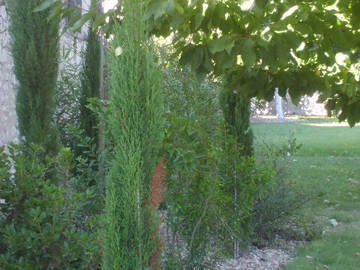 Chambre D'hôte La Celle-Saint-Avant 102815-6