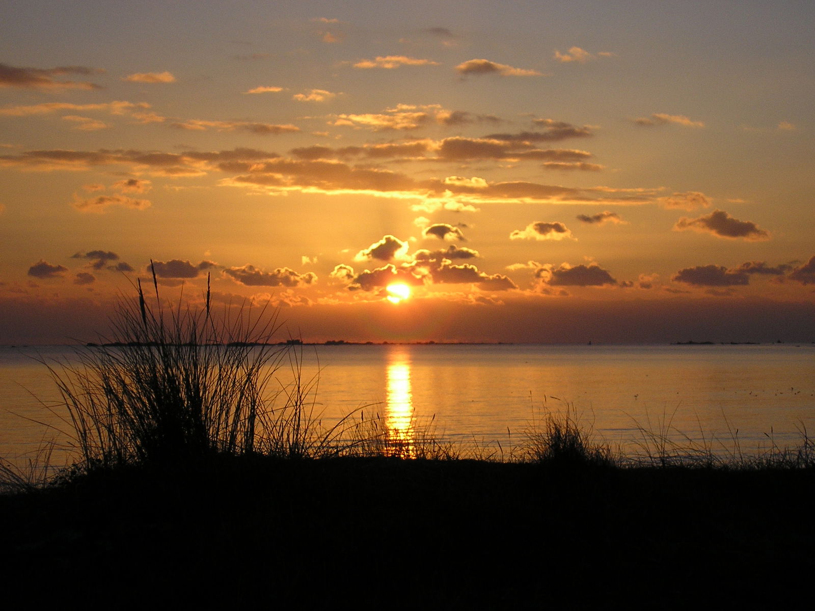 Independent Studio Guilvinec 17779