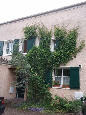 Colocation Cergy 54559