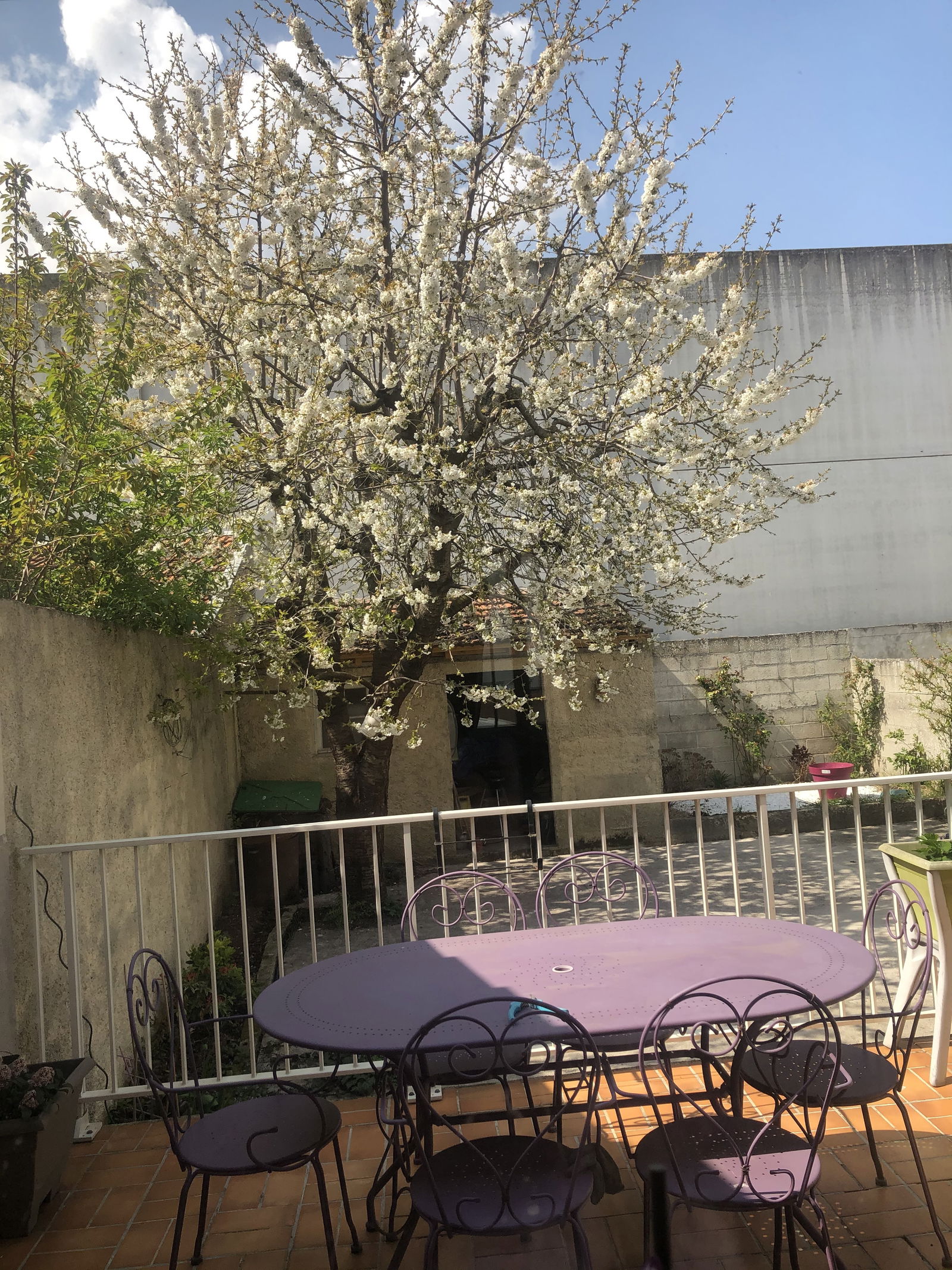 Homestay Reims 252582