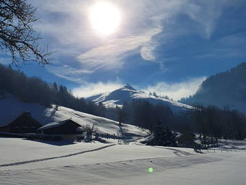 Chambre À Louer Thonon-Les-Bains 263148