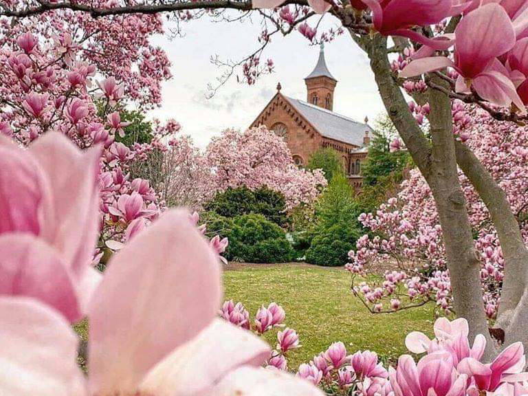 Toda La Casa Thonon-les-Bains 263148-3