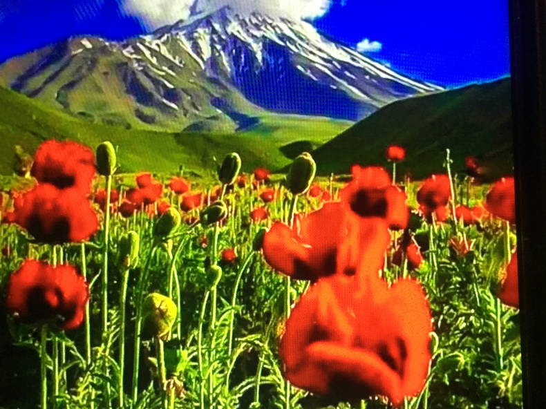 Toda La Casa Thonon-les-Bains 263148-2