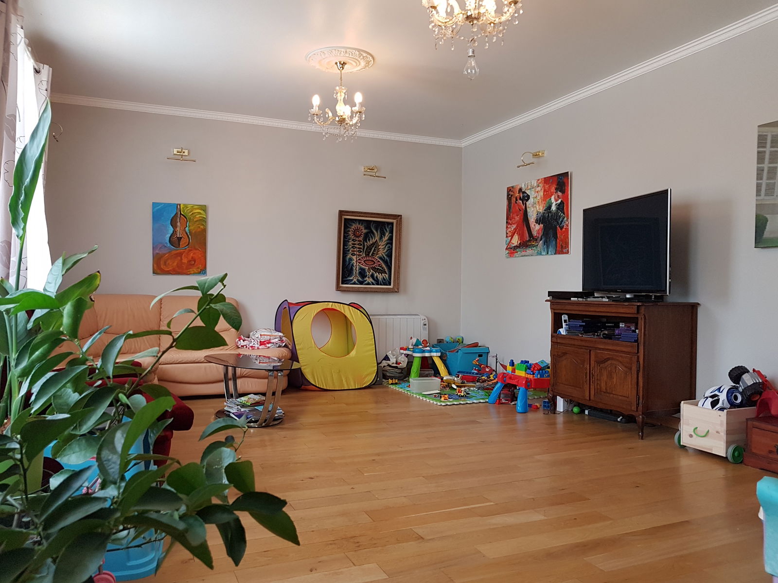 Independent Studio Oloron-Sainte-Marie 176959