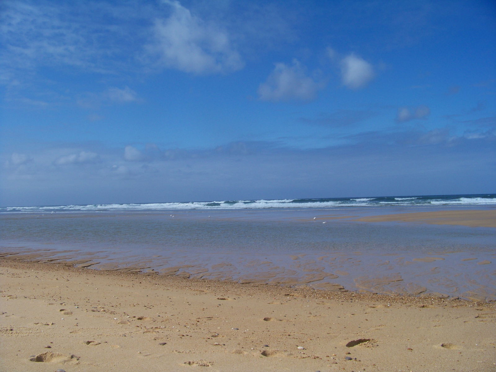 Onafhanklike Ateljee Saubion 81258