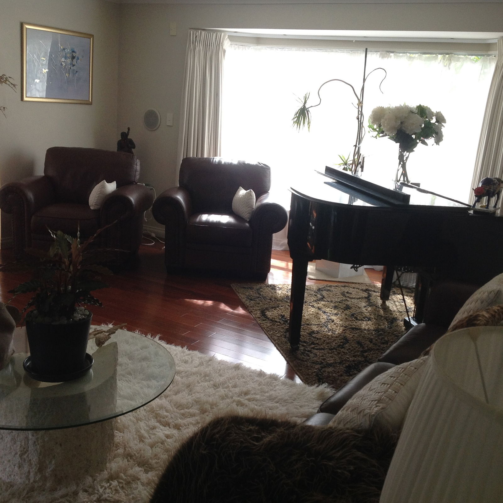 Colocation Auckland 164525