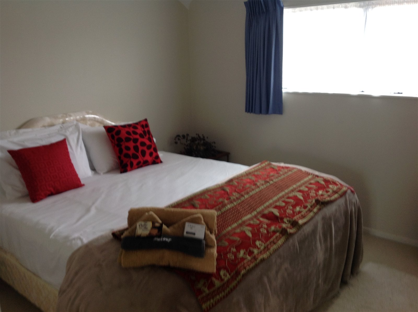 Independent Studio Auckland 187616