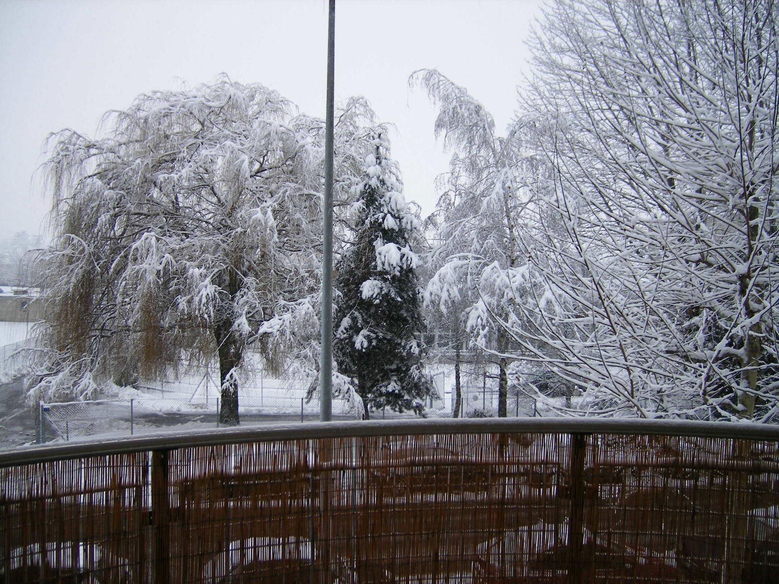 Gastfamilie Plan-les-Ouates 245766