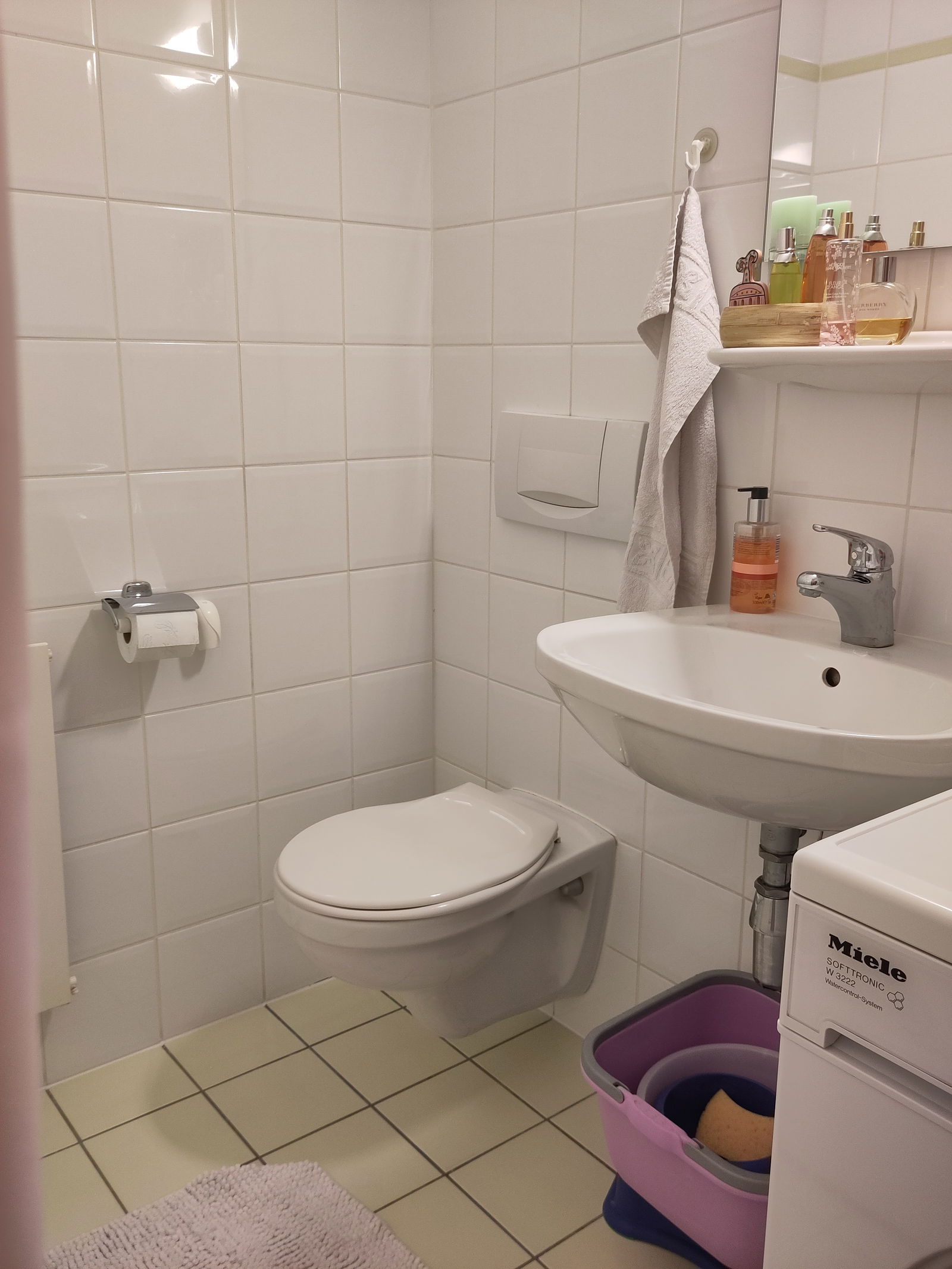 Gastfamilie Plan-les-Ouates 245766