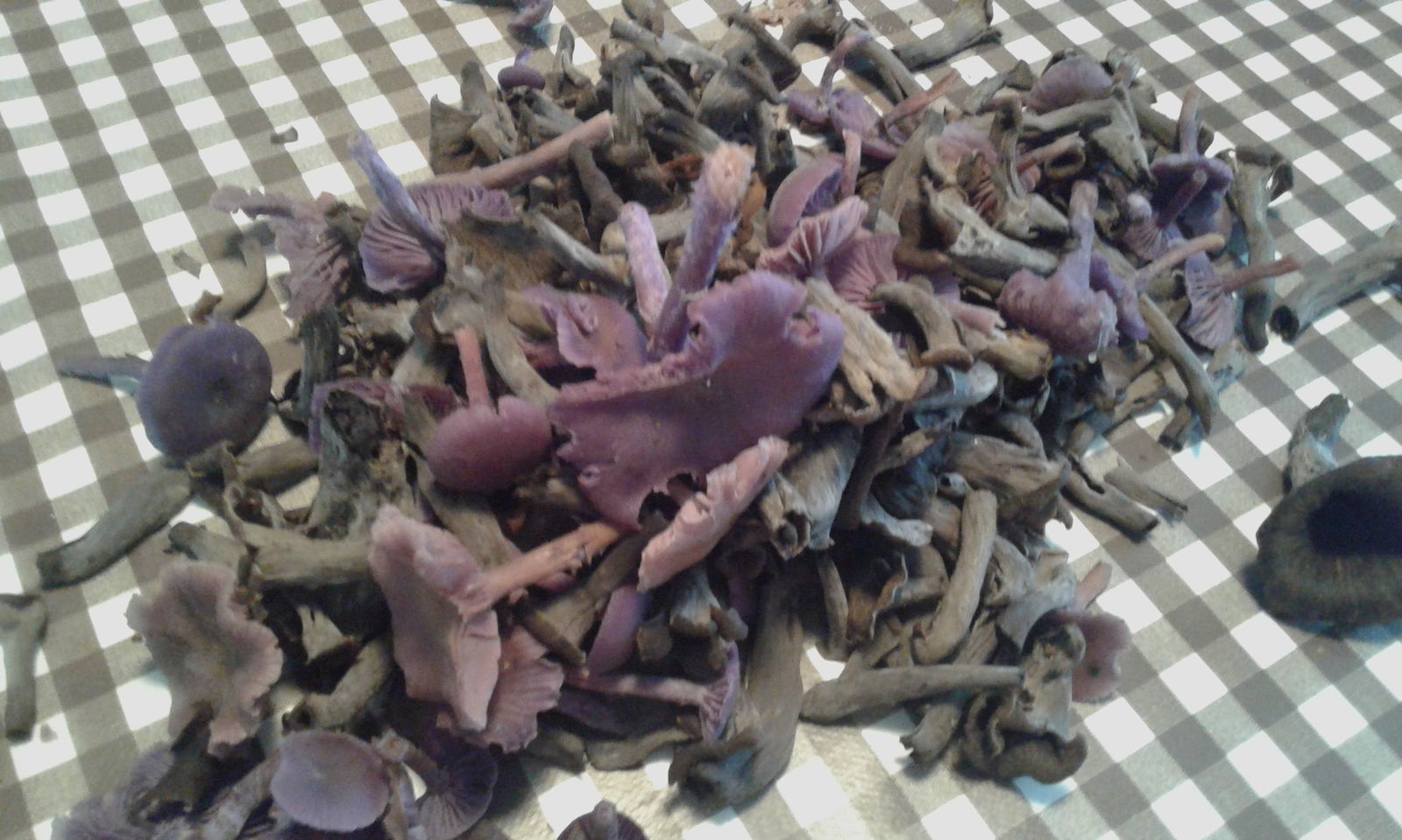 Gästezimmer Signy-l'Abbaye 125951