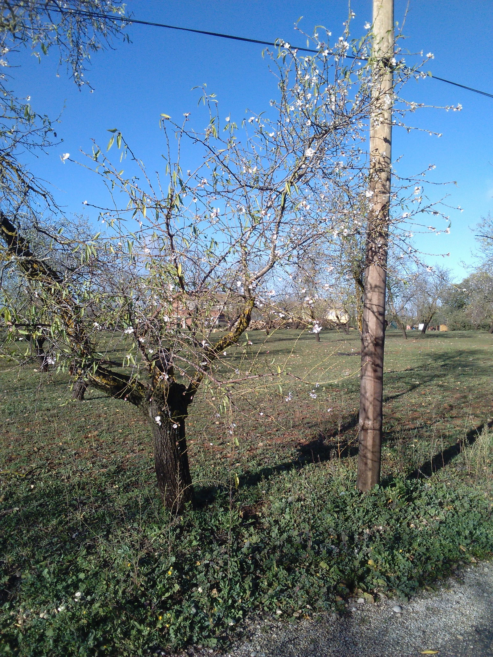 Gastfamilie Úbeda 128833