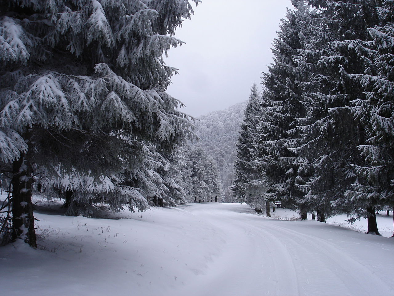 Unabhängiges Studio Bagnères-de-Bigorre 122433