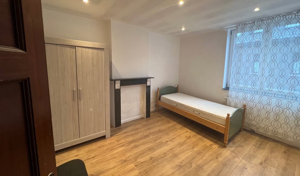 Kolokasie Charleroi 480118