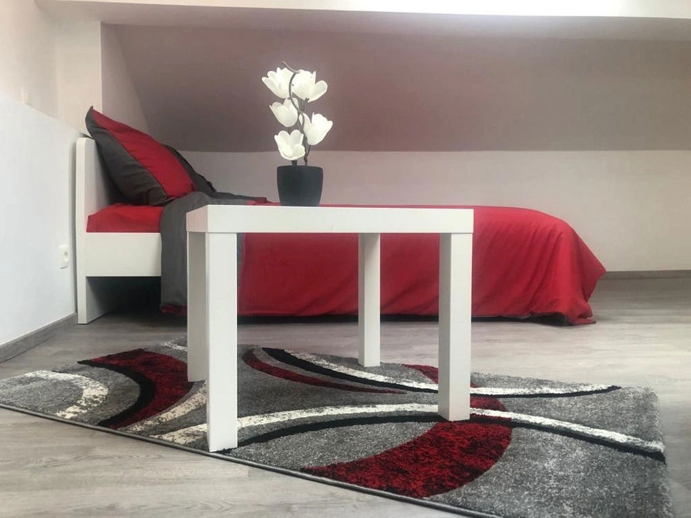 Kolokasie Charleroi 658850