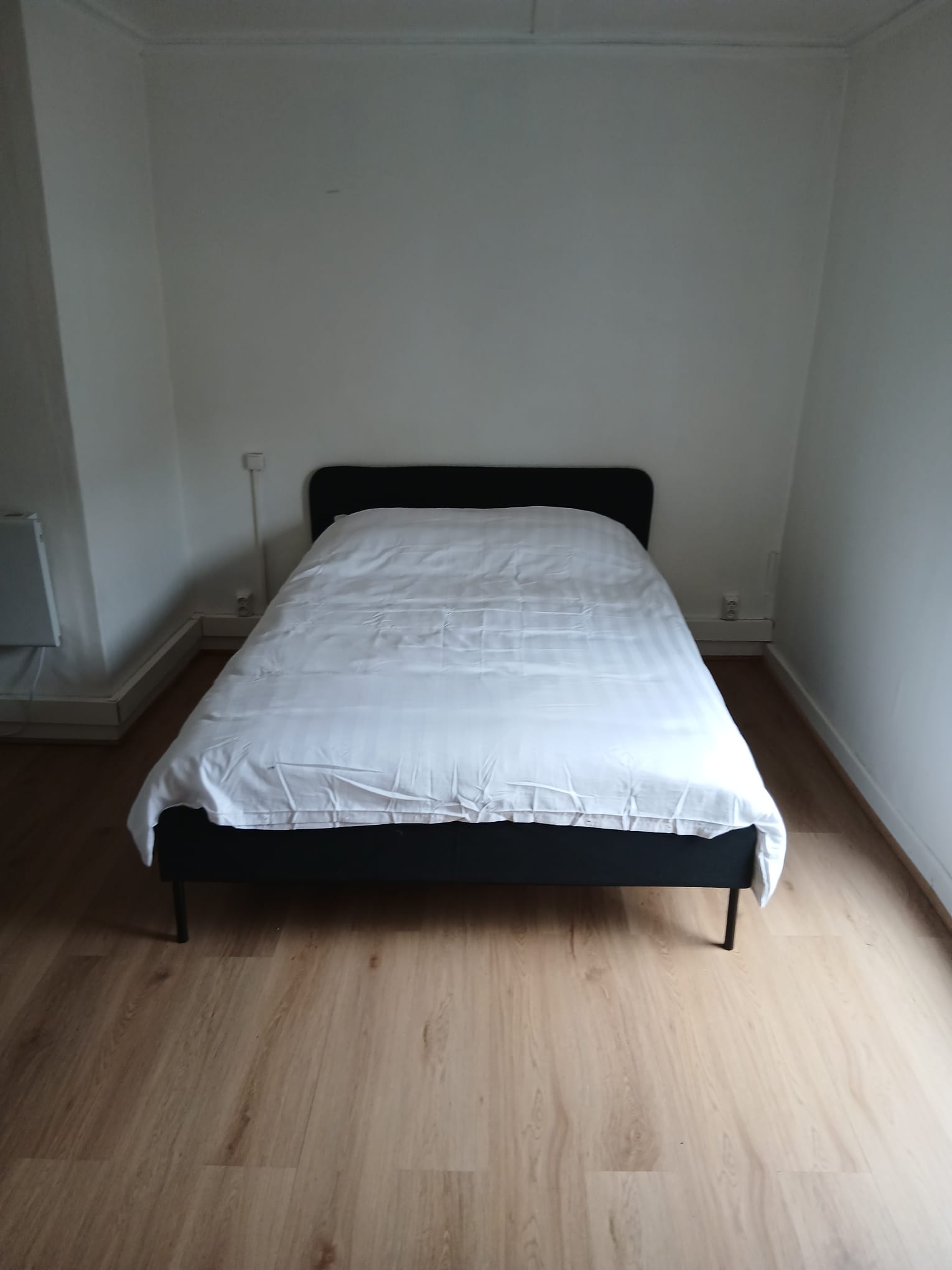 Onafhankelijke Studio Charleroi 574968