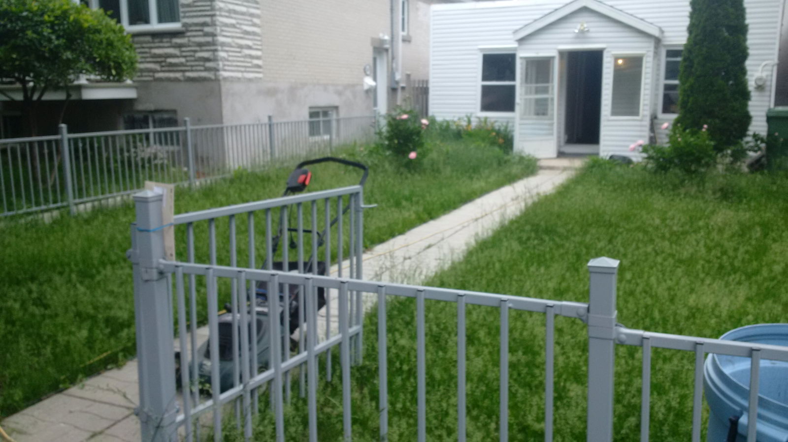 Kolokasie Montréal 144372