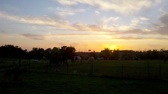 Onafhankelijke Studio Saint-Yrieix-sur-Charente 60190