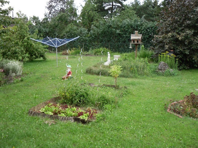 Colocatie Vezin 22253