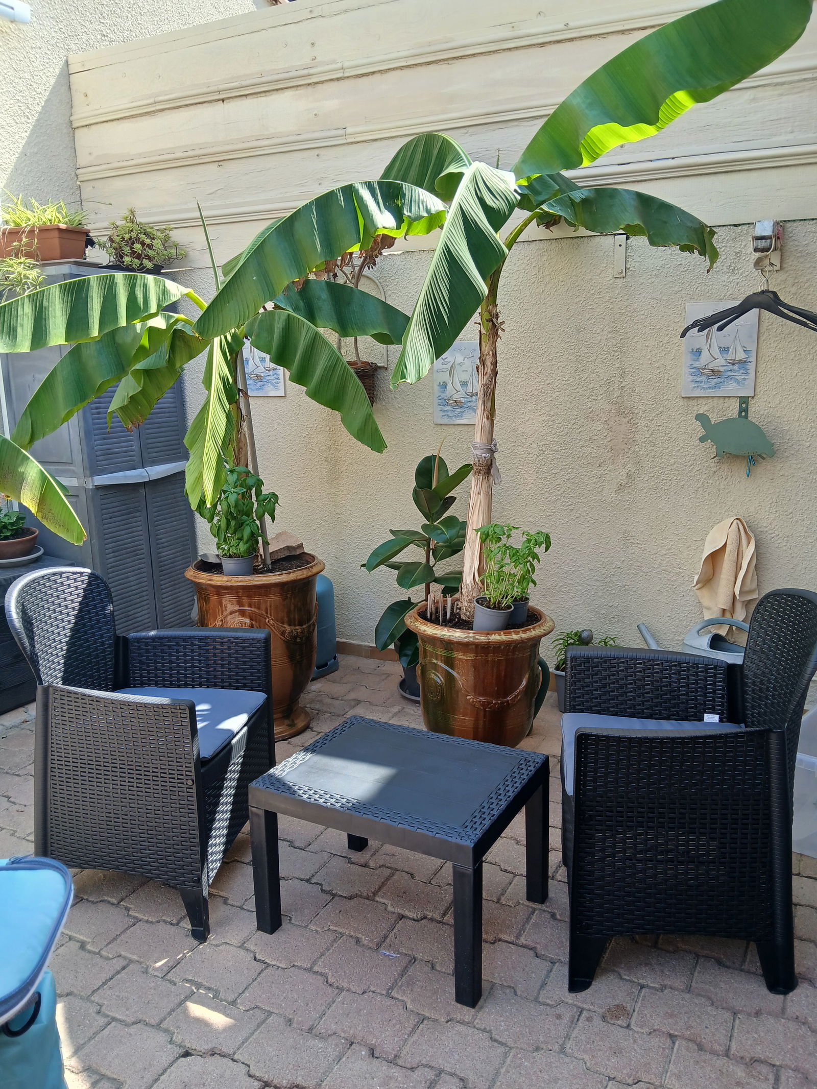 Gehele Woning Le Grau-du-Roi 193675