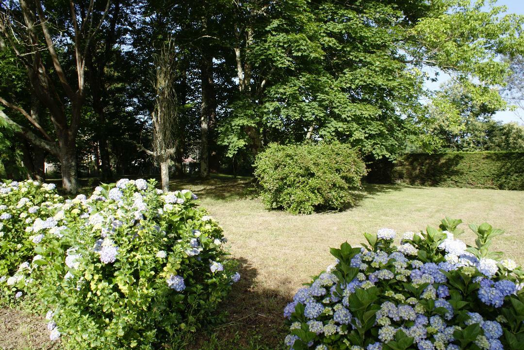 Onafhankelijke Studio Saubrigues 256752