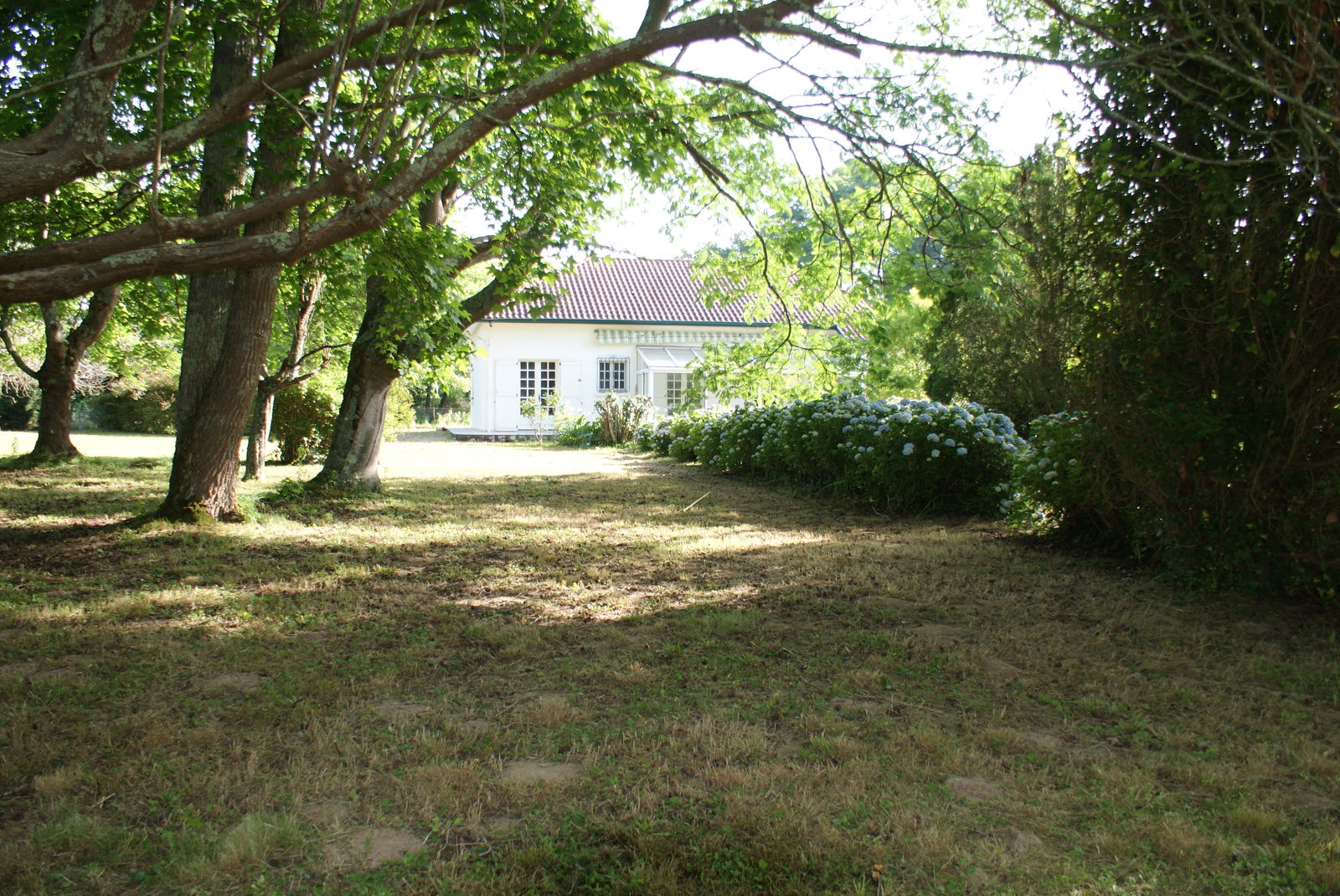 Onafhankelijke Studio Saubrigues 256752