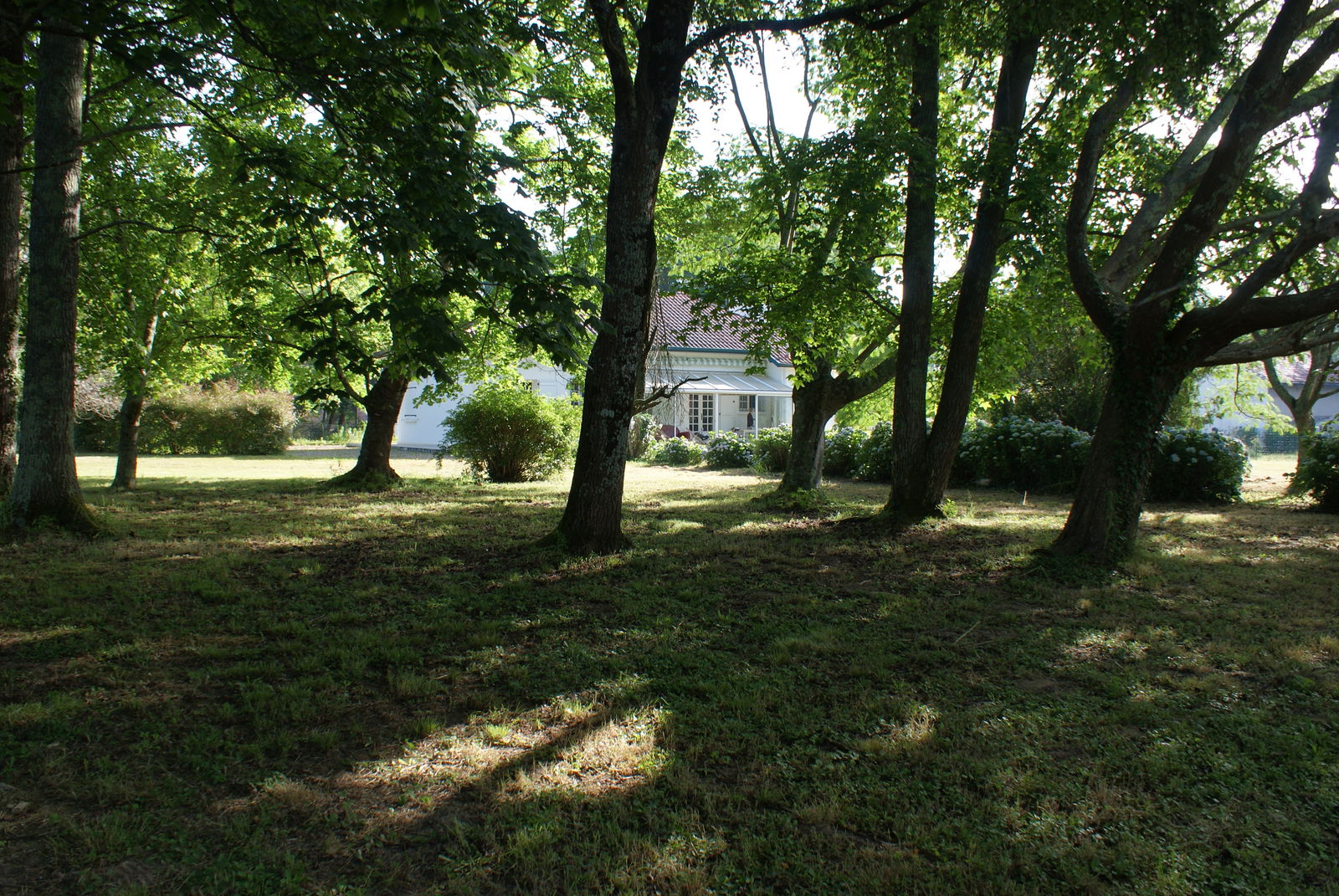 Onafhankelijke Studio Saubrigues 256752