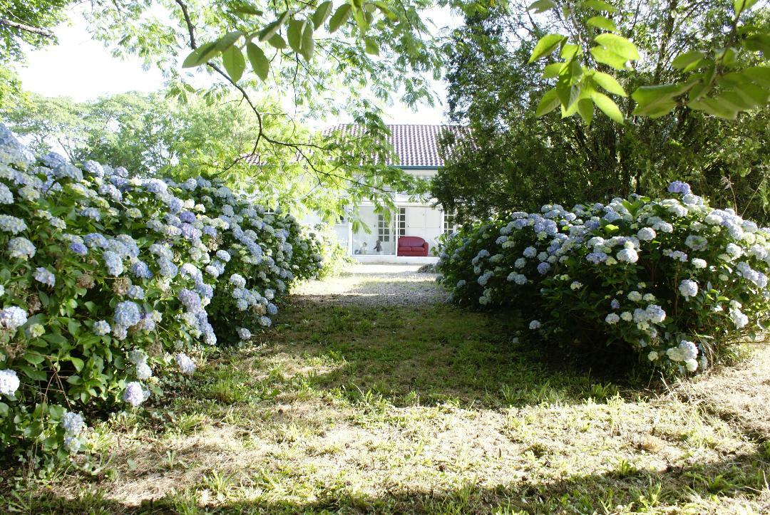 Onafhanklike Ateljee Saubrigues 256752