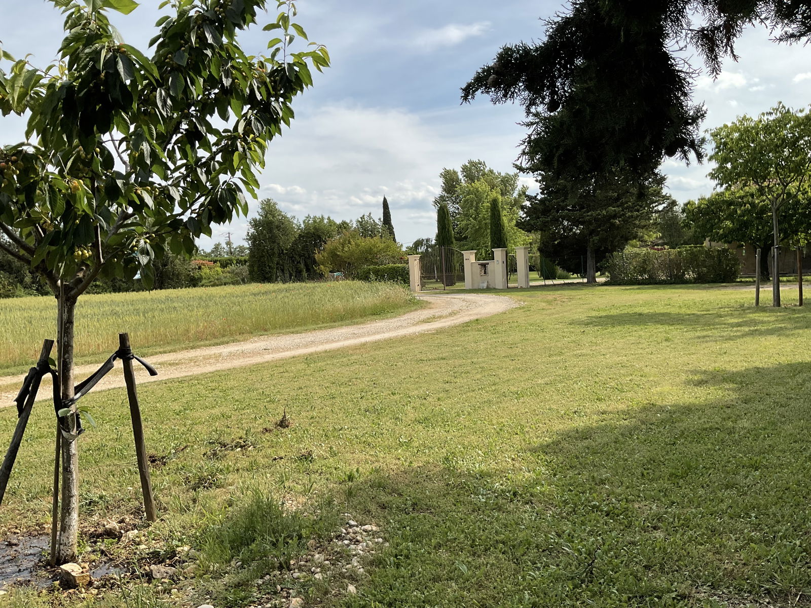 Hele Huis Pernes-les-Fontaines 206478